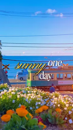 summer vlog