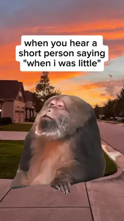 when you