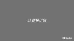 정말x5싫어