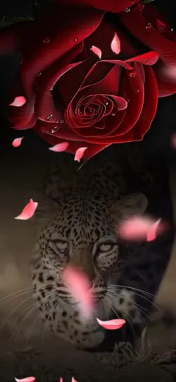 Saraali7