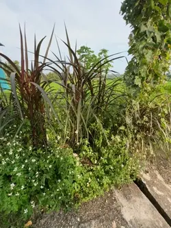 góc rộng 