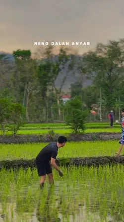 neng dalan anyar