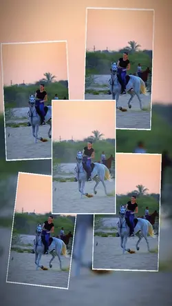 6 clip or photo 