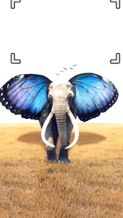 soi soi
