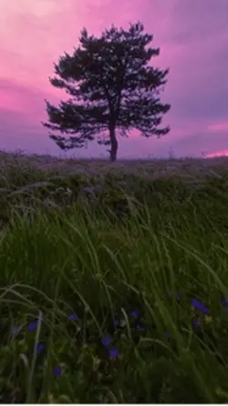 nature