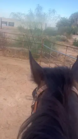 DJANGO 🫶🫶 