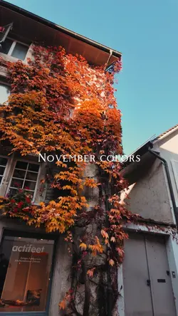 November Colors