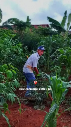 Pai 
