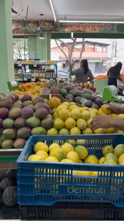 Hortifruti 
