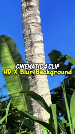 4 CLIP HD X BLUR BG 
