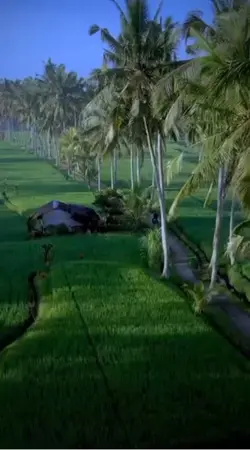 Kata2 petuah melayu