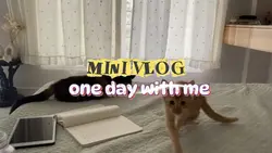 opening vlog