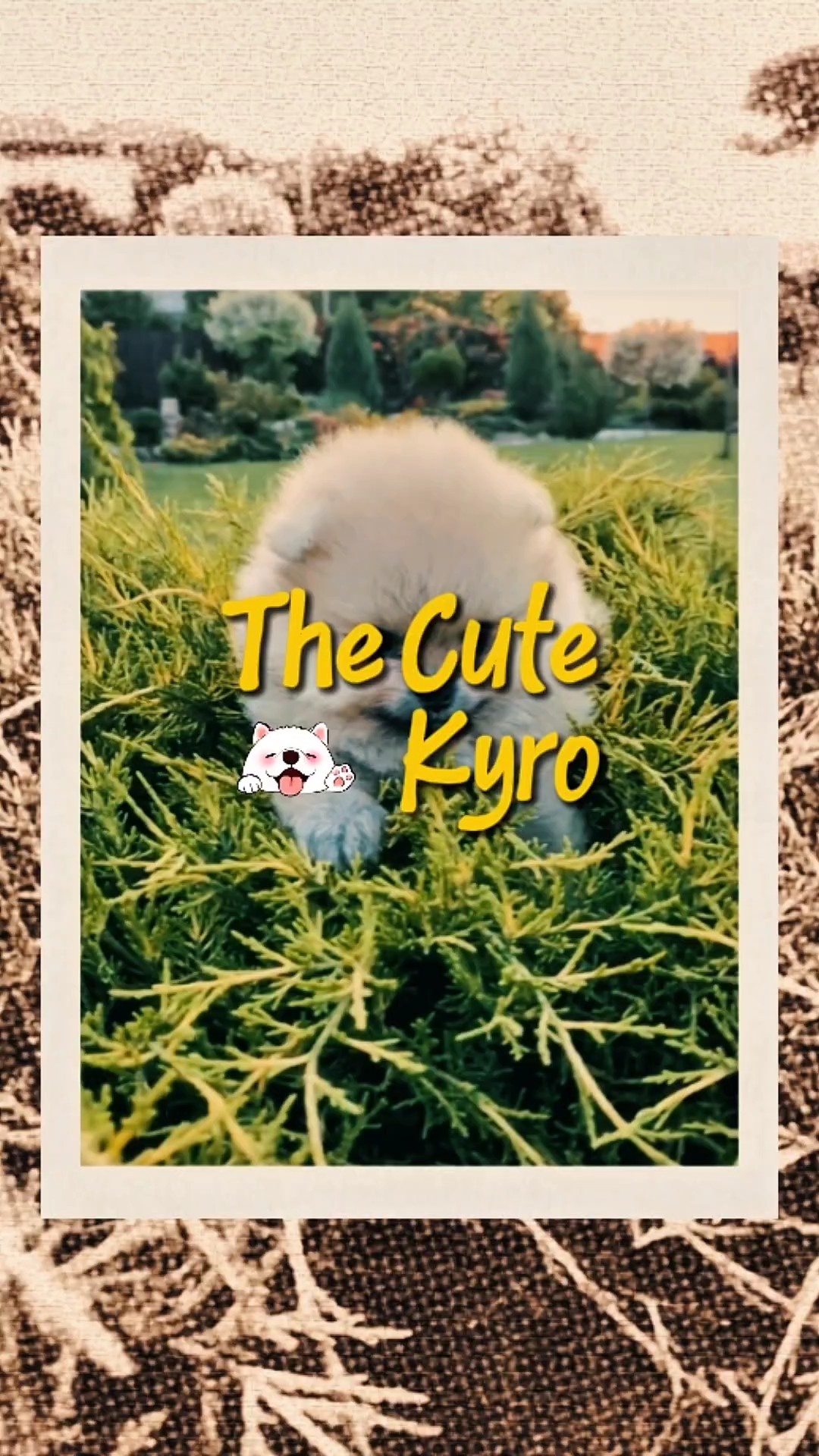 capcut template cover