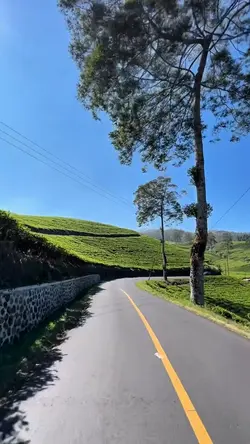 5 video road trip 