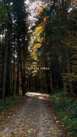 nature vibes 