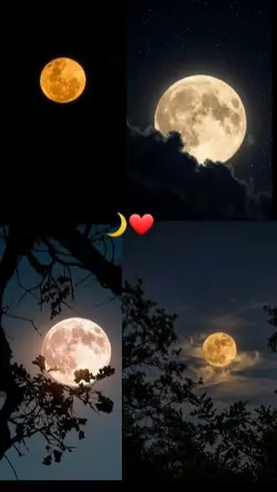 amantes da LUA