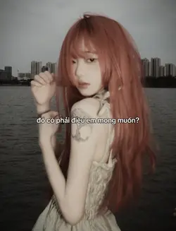 Mẫu Laviai 1pic