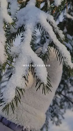 winter season