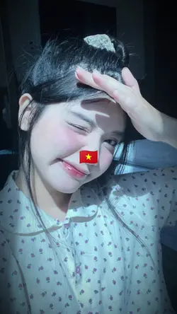 we are vietnammese