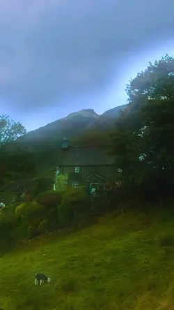 Cinematic 
