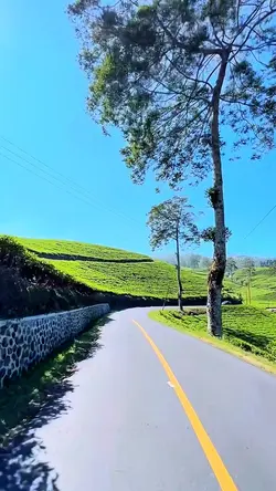 3 video nature