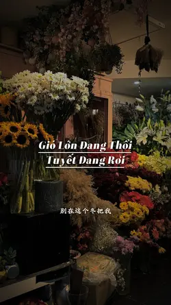 Gió Lớn Tuyết Rơi