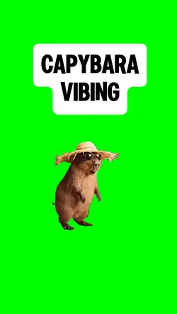 CAPYBARA VIBING 