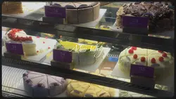 mini vlog pt.2
