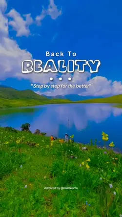 Back to reality