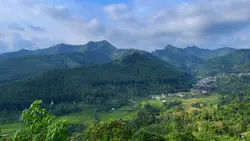 Kicau burung alam