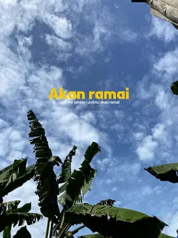 romi the jahats