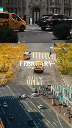 February Dump 