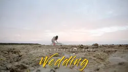 Wedding tô xu hướng