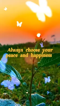 Choose your happines