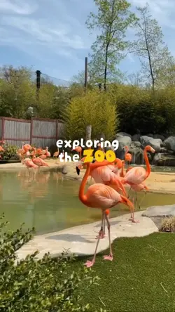 exploring the zoo