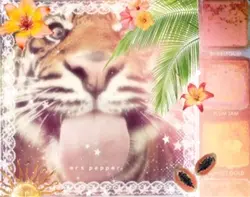 mood board edit !