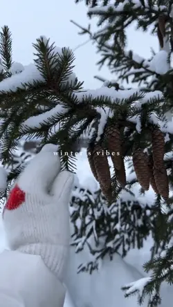 winter's vibes