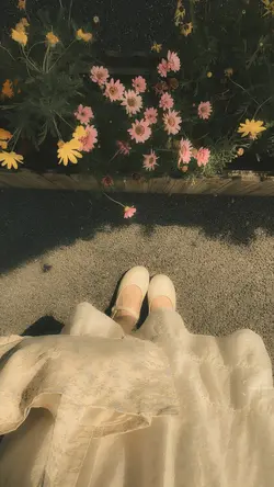 Filter estetik