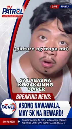 Nawawalang aso