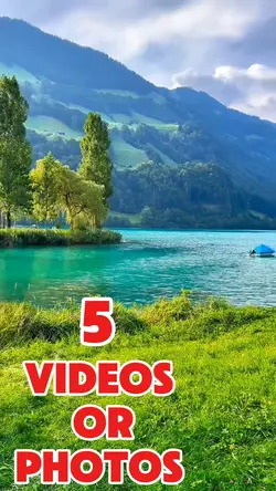 5 videos or photos 
