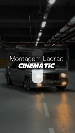 Montagem Ladrao 2