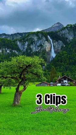 3 Clips Template 