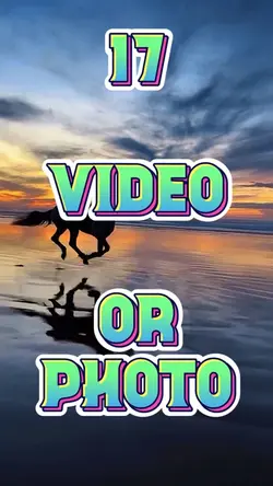 17 Videos Or Photos 