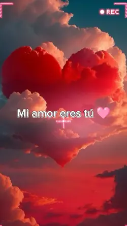 Mi amor eres tu