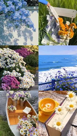 Moment