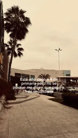 XD 