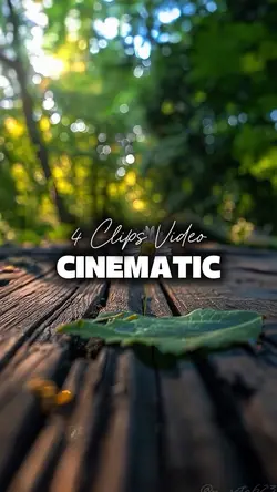 4 CLIPS VIDEO