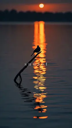 Beautiful sunset