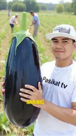 Egg plant