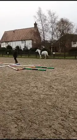 Christmas polework>>